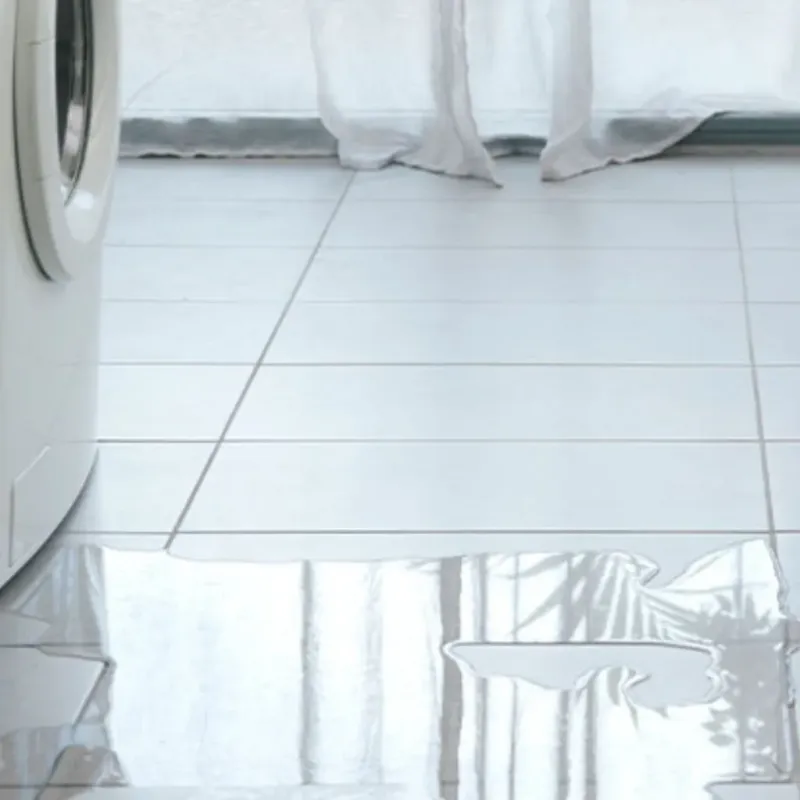Appliance Leak Cleanup in Bridgewater, VA