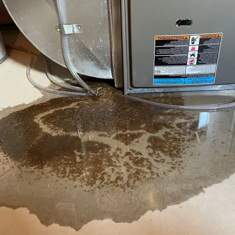 Pipe Burst and Leak Restoration in Bridgewater, VA