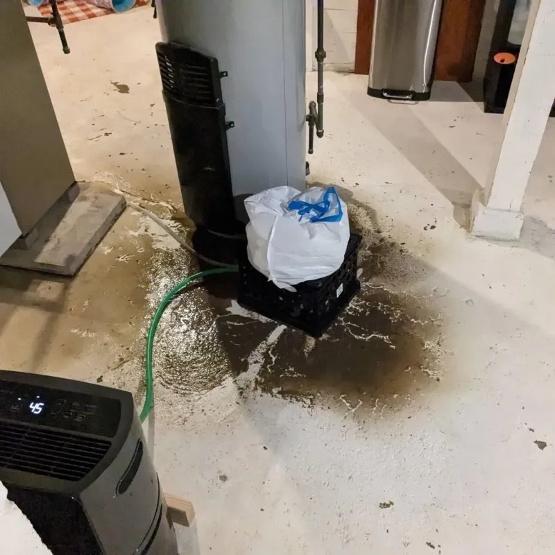 Sewage Backup Cleanup Service in Bridgewater, VA